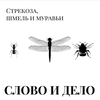 Песня «Память как у кильки (Стрекоза, шмель и муравьи 2022)» - Слово и Дело